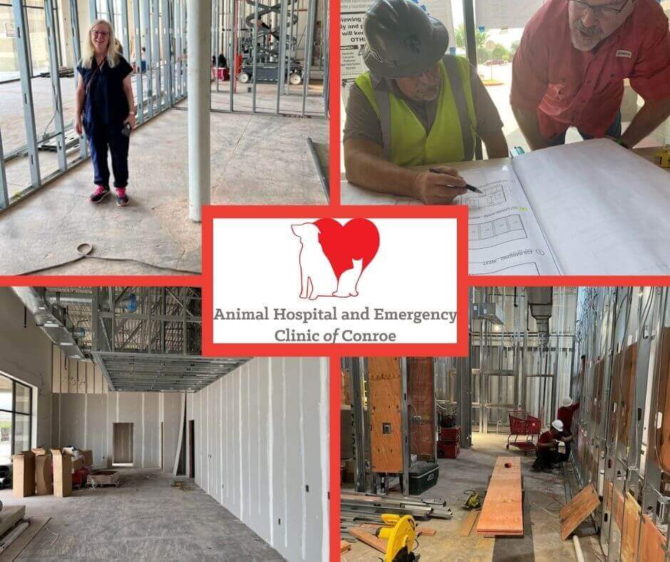 We're Moving! Animal Emergency Clinic of Conroe