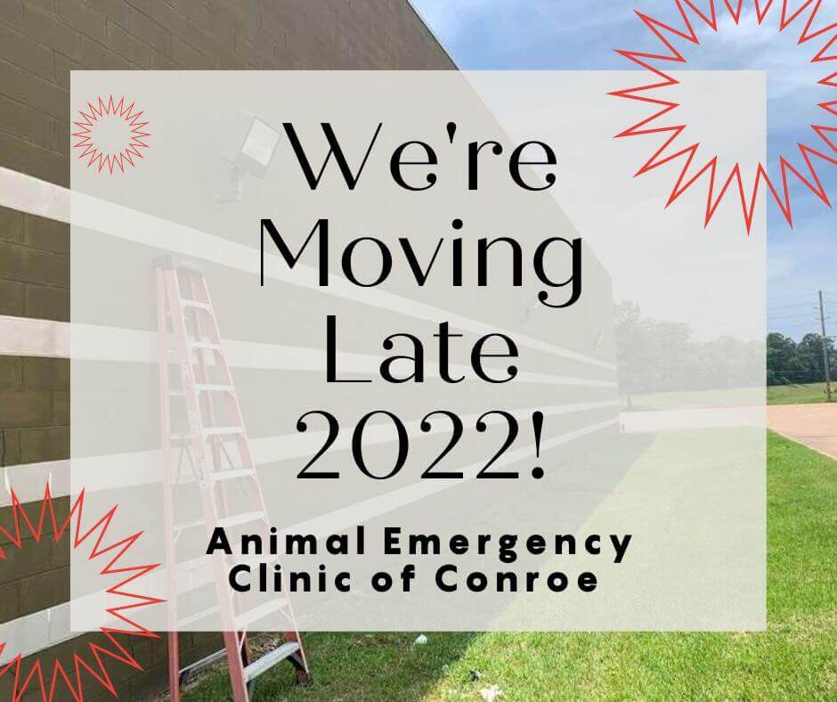 We're Moving! Animal Emergency Clinic of Conroe